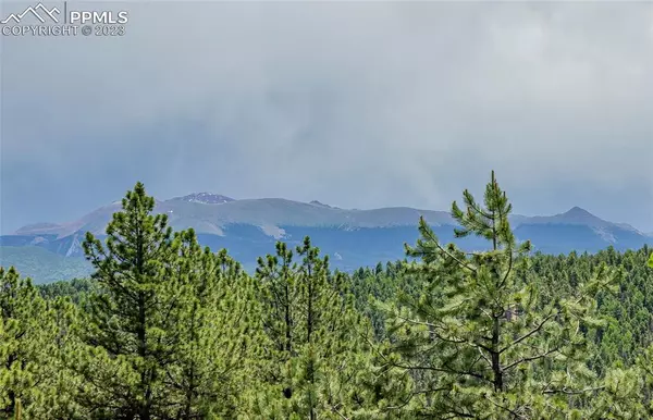 Divide, CO 80814,330 Cottonwood Lake DR