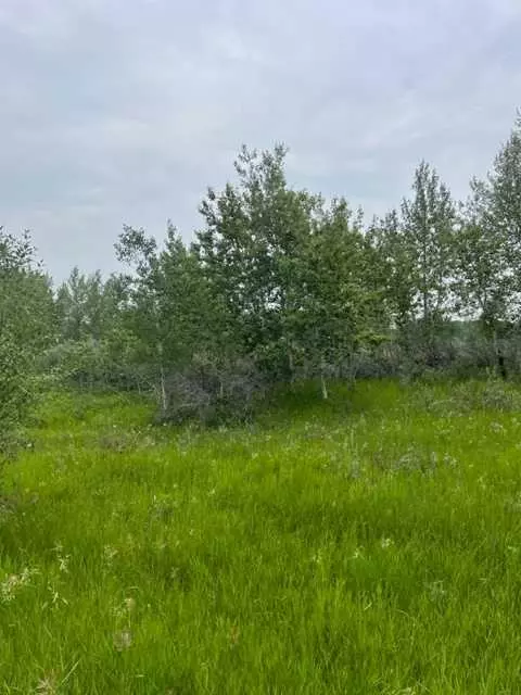 Rural Foothills County, AB T0L 0X0,48108 233 AVE E