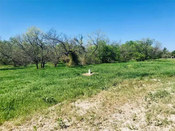 Cross Plains, TX 76443,TBD Fm 880 S