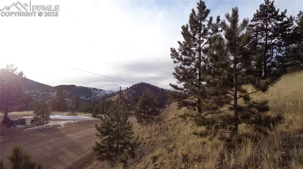 Cripple Creek, CO 80813,1217 Copper Mountain DR