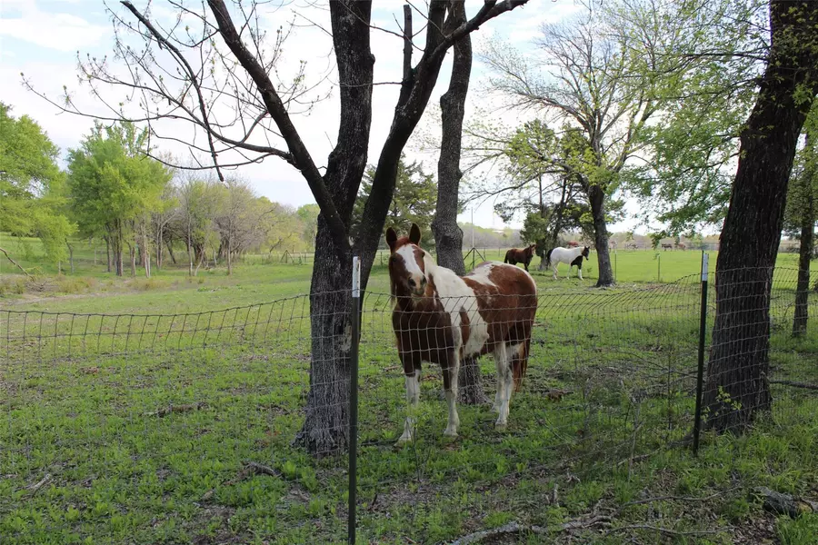 10888(TBD) County Road 496, Princeton, TX 75407