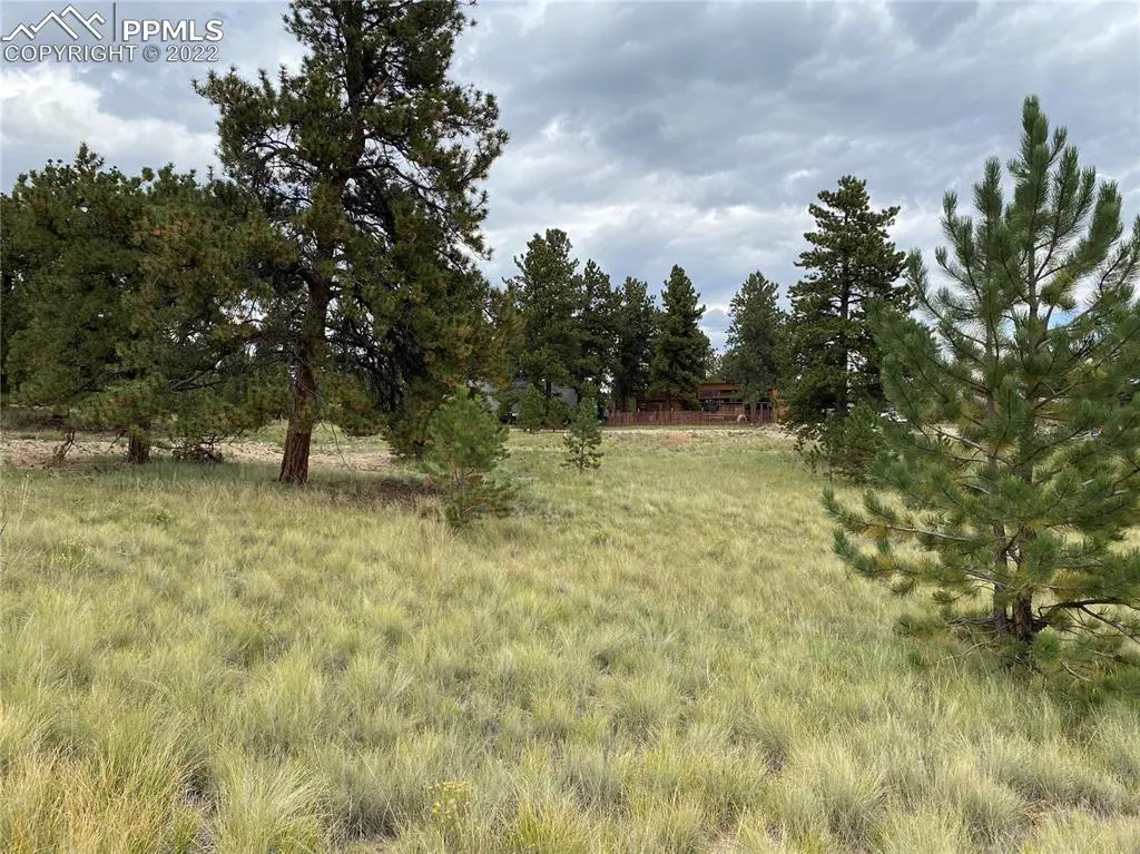 1179 Brahma CIR, Hartsel, CO 80449