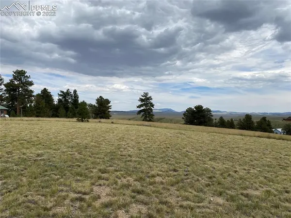 1179 Brahma CIR, Hartsel, CO 80449