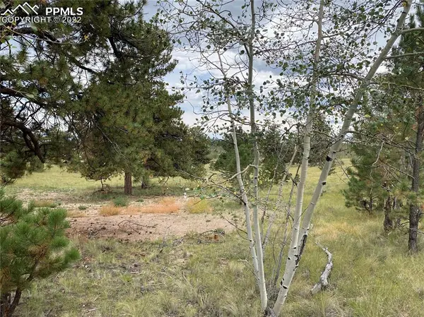 1179 Brahma CIR, Hartsel, CO 80449