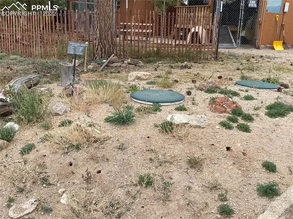 1179 Brahma CIR, Hartsel, CO 80449