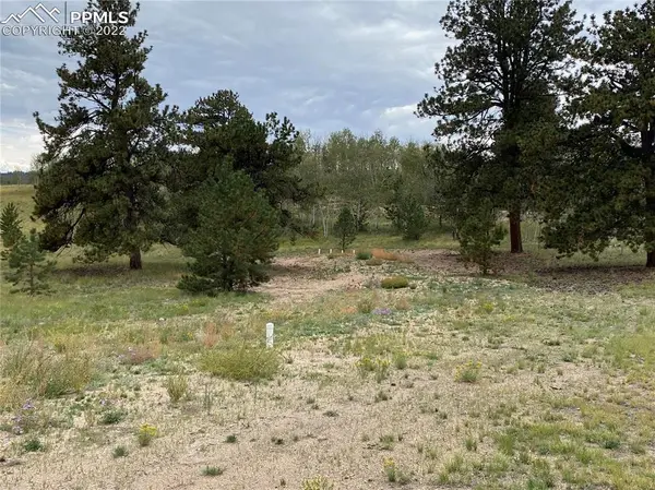 1179 Brahma CIR, Hartsel, CO 80449