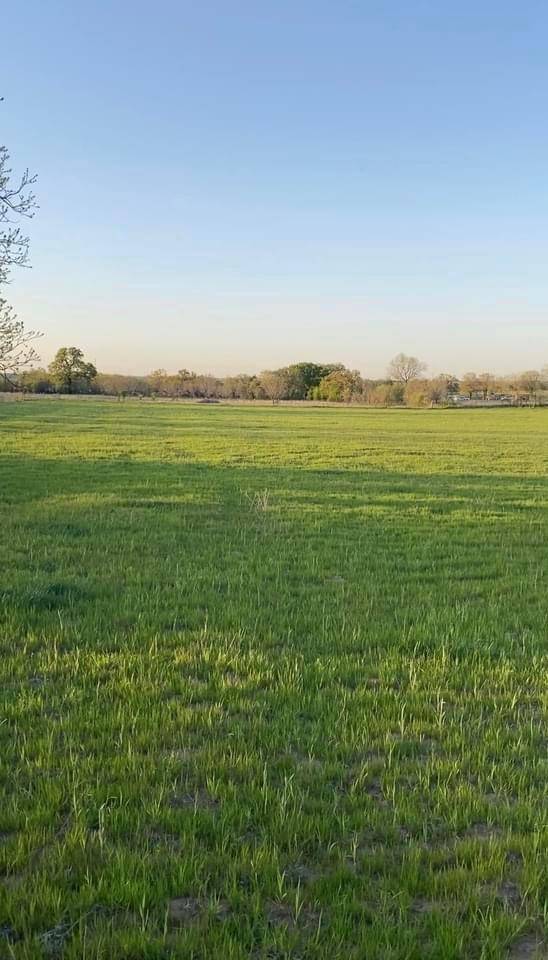 lot 4 County Road 3424, Bridgeport, TX 76426