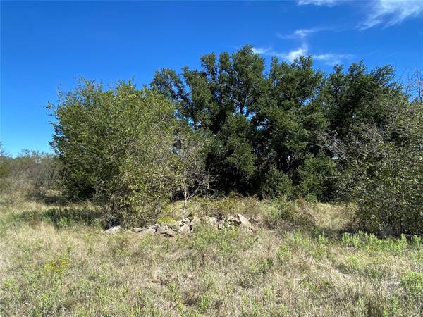 TBD County Rd 108, Santa Anna, TX 76878