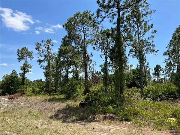 Labelle, FL 33935,7897 5th PL