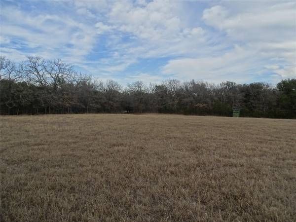 TBD FM 56, Kopperl, TX 76652