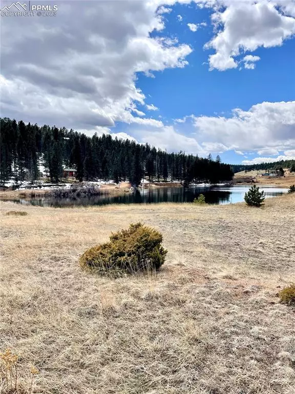 550 Shadow Lake DR, Divide, CO 80814