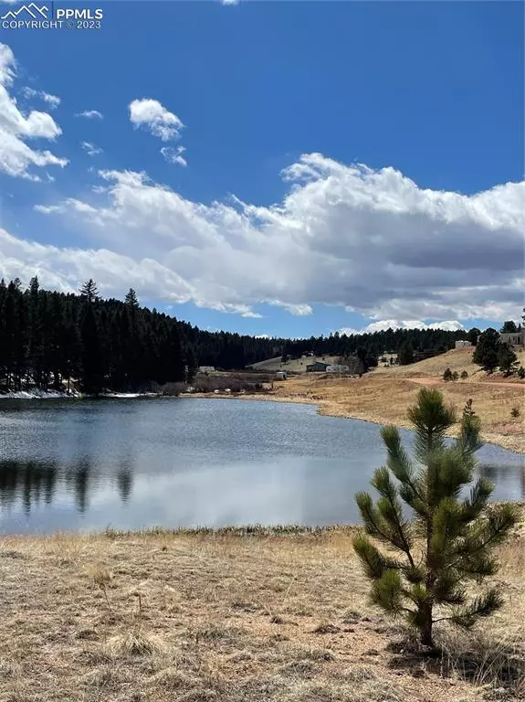 Divide, CO 80814,550 Shadow Lake DR