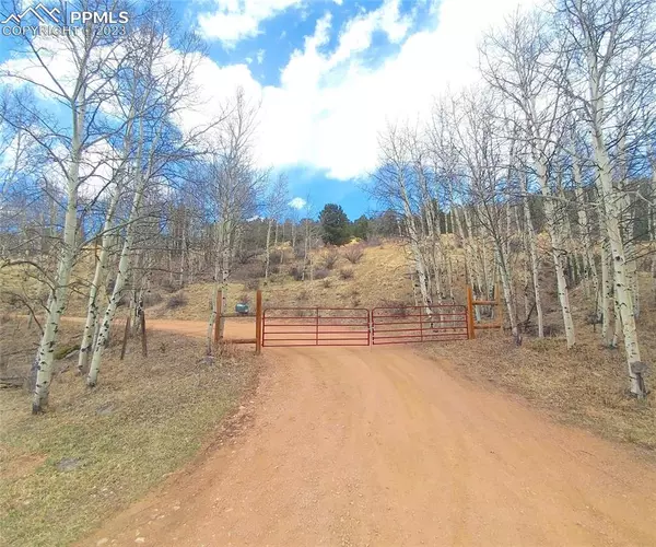 Cripple Creek, CO 80813,County Road 8