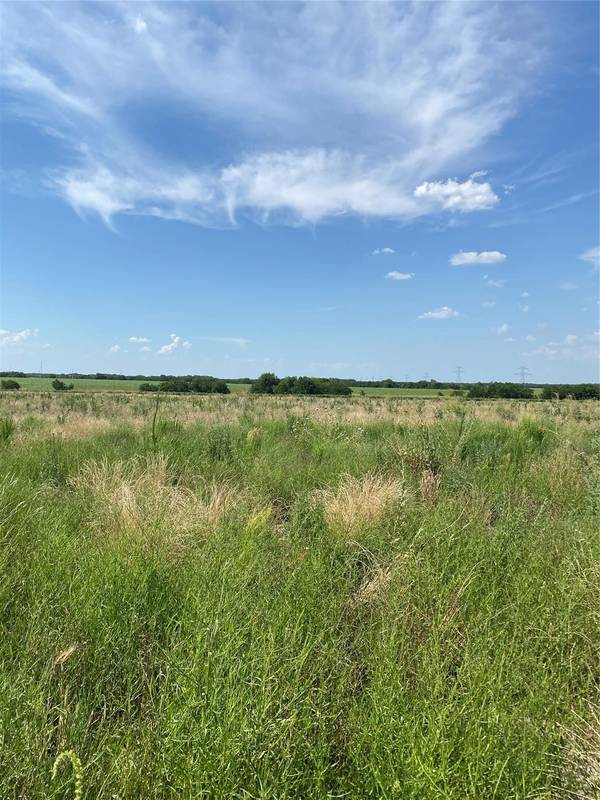 Lot 8 County Road 592, Nevada, TX 75173