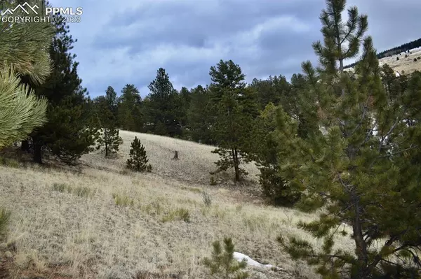 Cripple Creek, CO 80816,234 Wilson WAY