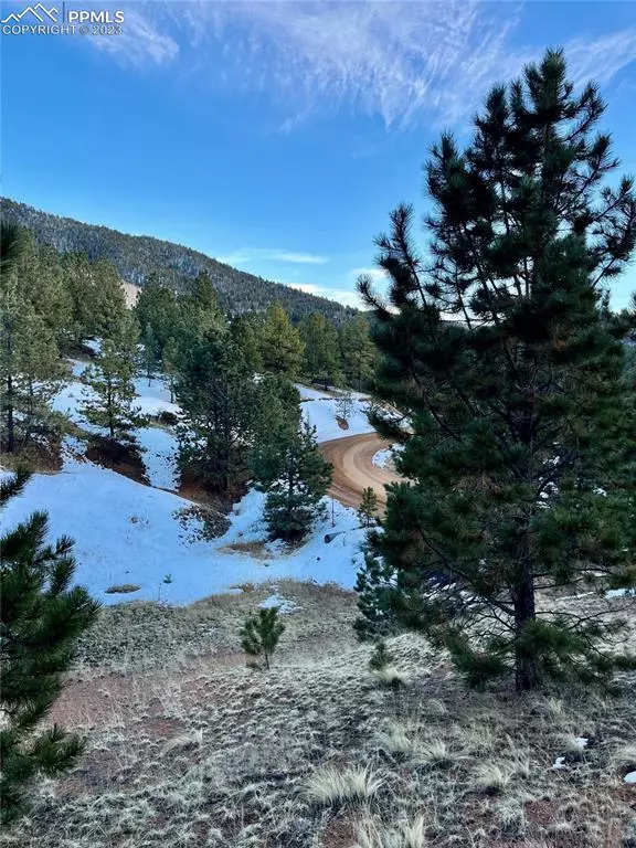 Cripple Creek, CO 80816,234 Wilson WAY