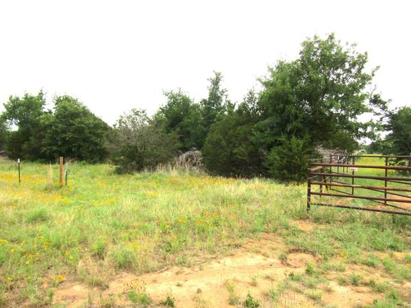 0000 Brown Road, Santo, TX 76484