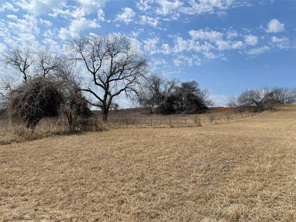 1364 County Road 316, Rainbow, TX 76077