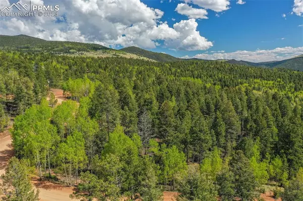 560 Princess RD, Cripple Creek, CO 80813