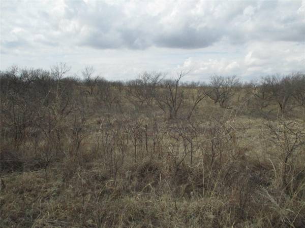 Lot 1 Blevins, Ringgold, TX 76241