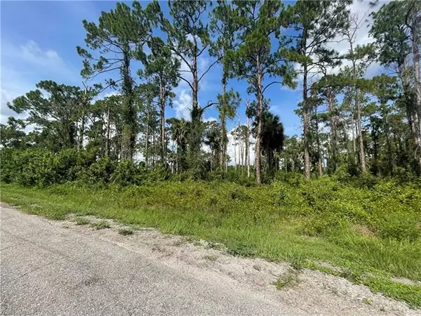 Lehigh Acres, FL 33972,1207 Pine AVE