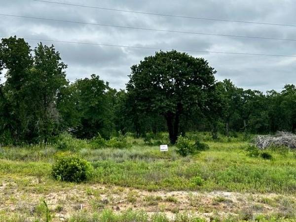 295 Rolling Hills Boulevard, Alvord, TX 76225