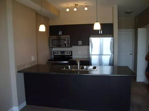 Calgary, AB T2Z 5E2,117 Copperpond Common SE #320