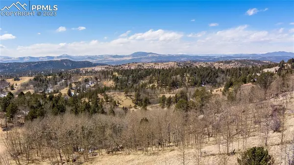 Cripple Creek, CO 80813,219 wolftone DR