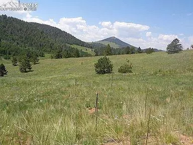 Cripple Creek, CO 80813,1386 Copper Mountain DR