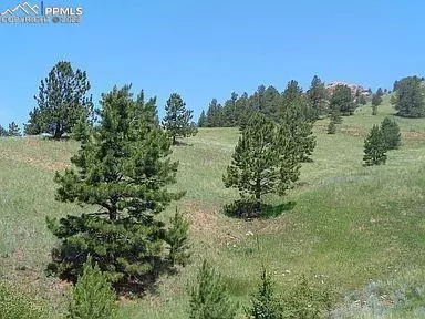 Cripple Creek, CO 80813,1386 Copper Mountain DR