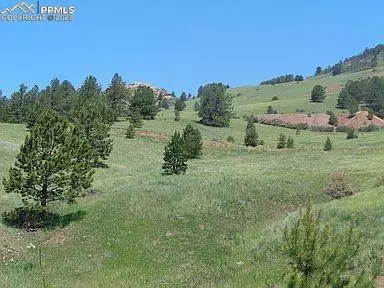 Cripple Creek, CO 80813,1386 Copper Mountain DR