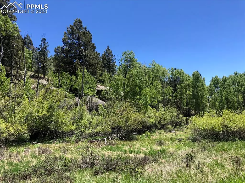 Florissant, CO 80816,741 Pinon LN