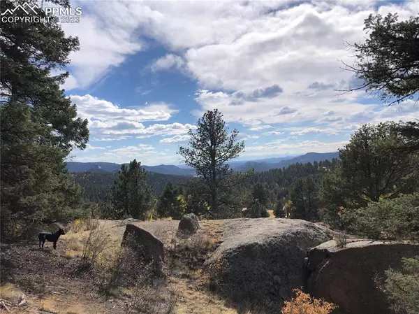 Florissant, CO 80816,741 Pinon LN