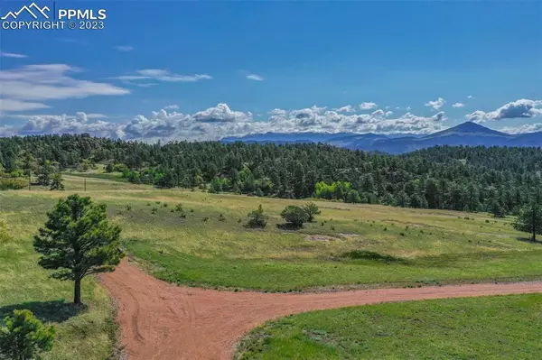 Florissant, CO 80816,195 Pike View LN