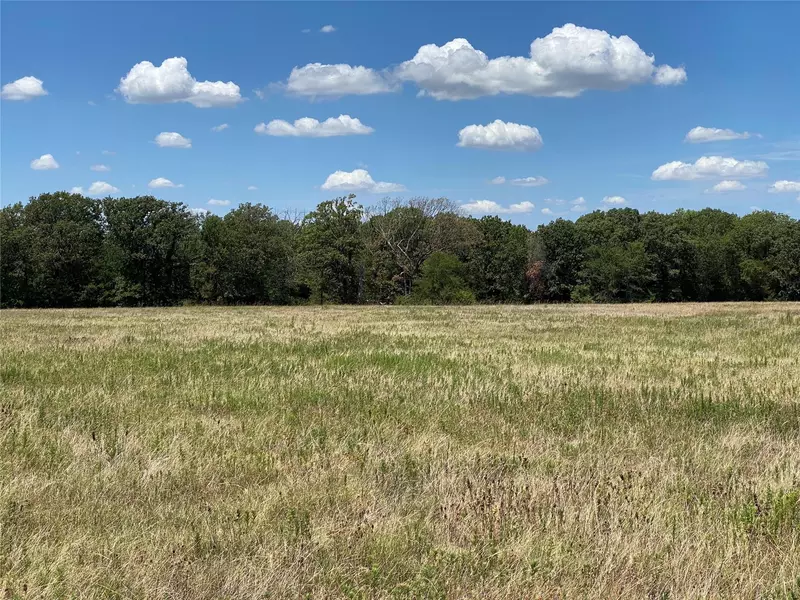 TBD VZCR 1507, Grand Saline, TX 75140