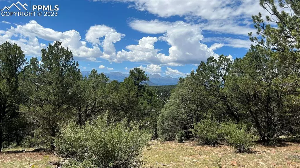 Lot 64 Elkhorn RD, Cotopaxi, CO 81223