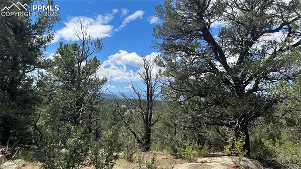 Cotopaxi, CO 81223,Lot 64 Elkhorn RD