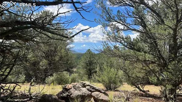 Cotopaxi, CO 81223,Lot 64 Elkhorn RD