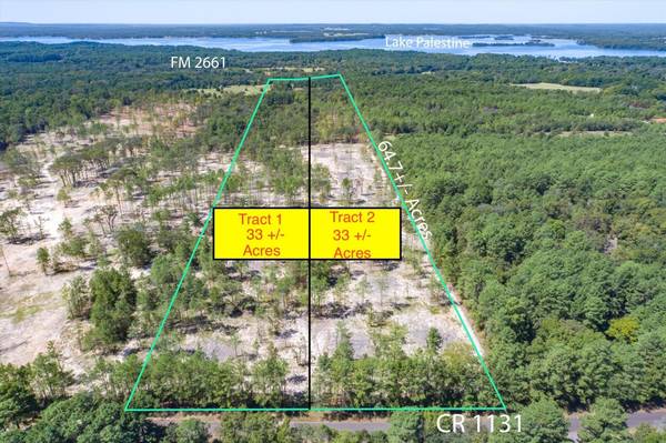 Tract 2 - TBD County Road 1131, Flint, TX 75762