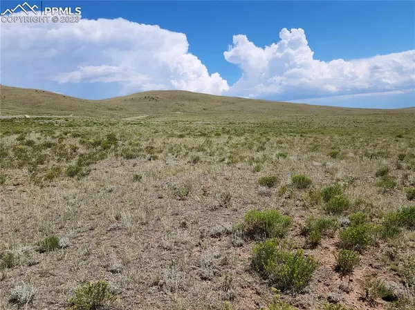 Hartsel, CO 80449,Blackfoot TRL