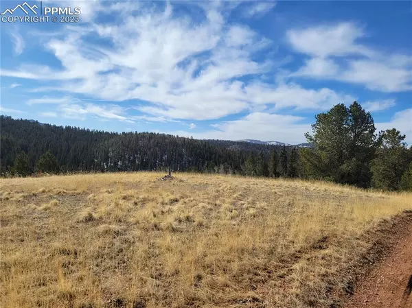 Cripple Creek, CO 80813,3179 County Road 61