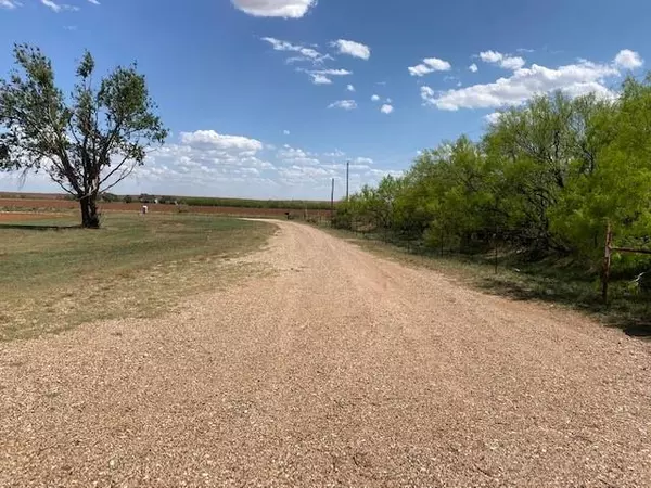 Rotan, TX 79546,818 County Road 320