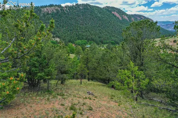 Cripple Creek, CO 80813,513 Last Dollar DR