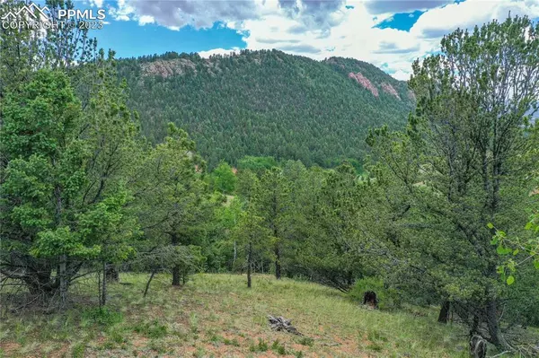 Cripple Creek, CO 80813,513 Last Dollar DR