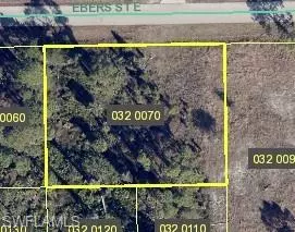 Lehigh Acres, FL 33974,1178 Ebers ST E