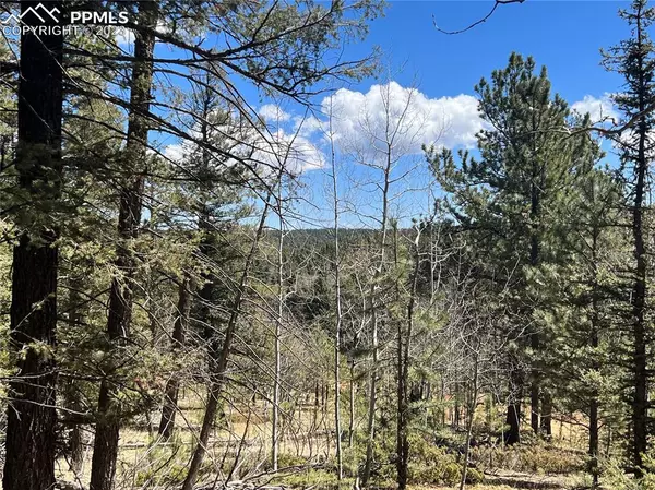 167 W Lake DR, Divide, CO 80814