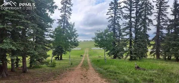 193 Joshua RD, Divide, CO 80814