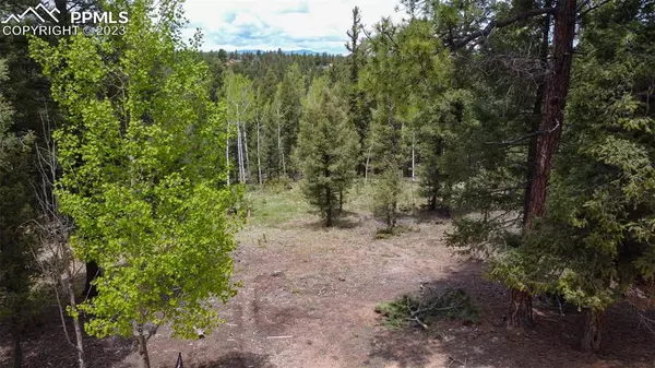 595 Ridge RD, Divide, CO 80814