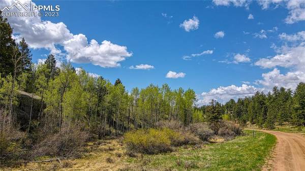 765 Pinon LN, Florissant, CO 80816