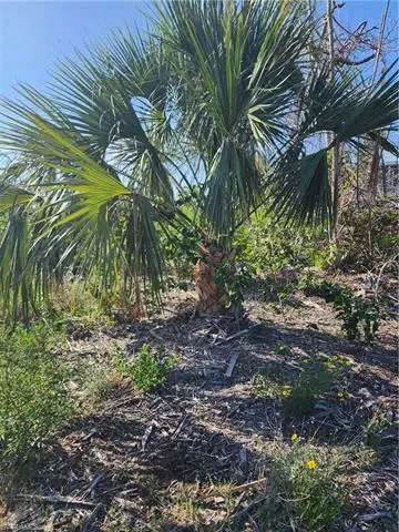 2823 CUSSELL DR, St. James City, FL 33956